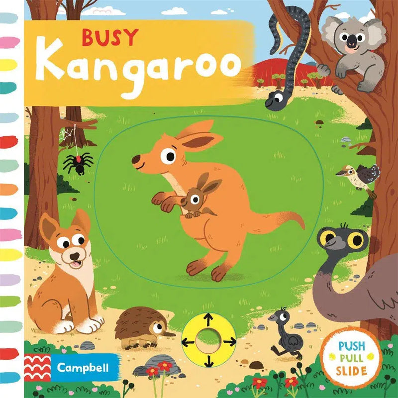 Busy Kangaroo