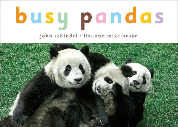 Busy Pandas-Children’s / Teenage general interest: Nature and animals-買書書 BuyBookBook