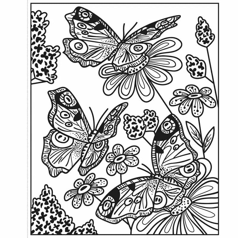Butterflies Magic Painting Book Usborne