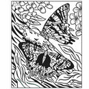 Butterflies Magic Painting Book Usborne