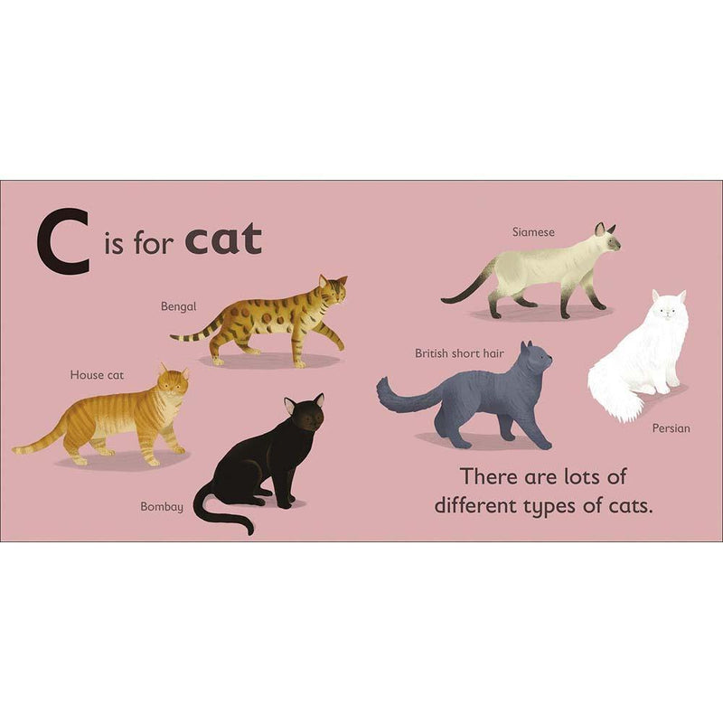 C is for Cat (Board book) DK UK