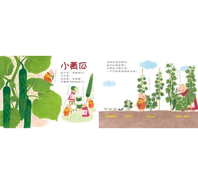 菜園裡的美味大餐 - 春夏-故事: 兒童繪本 Picture Books-買書書 BuyBookBook