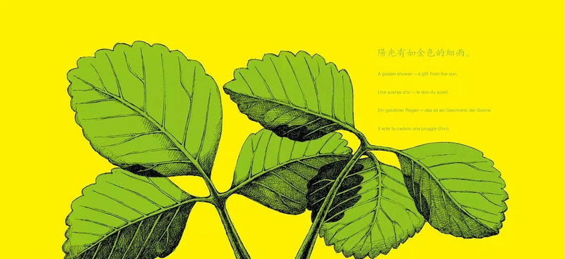 草莓 (新宮晉)-非故事: 動物植物 Animal & Plant-買書書 BuyBookBook