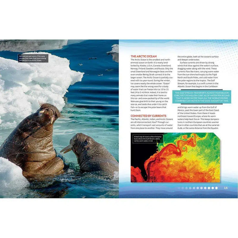 NGK Captain Aquatica: Awesome Ocean (Hardback) National Geographic