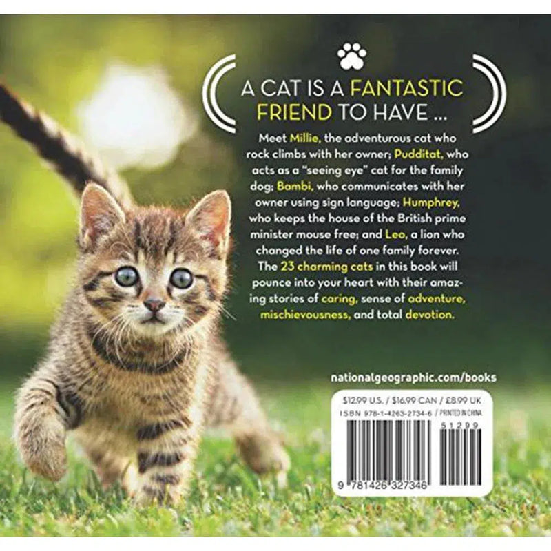 Cat Tales (Hardback) National Geographic