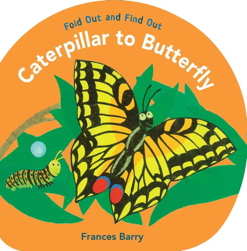 Caterpillar to Butterfly: Fold Out and Find Out-Children’s / Teenage general interest: Nature and animals-買書書 BuyBookBook