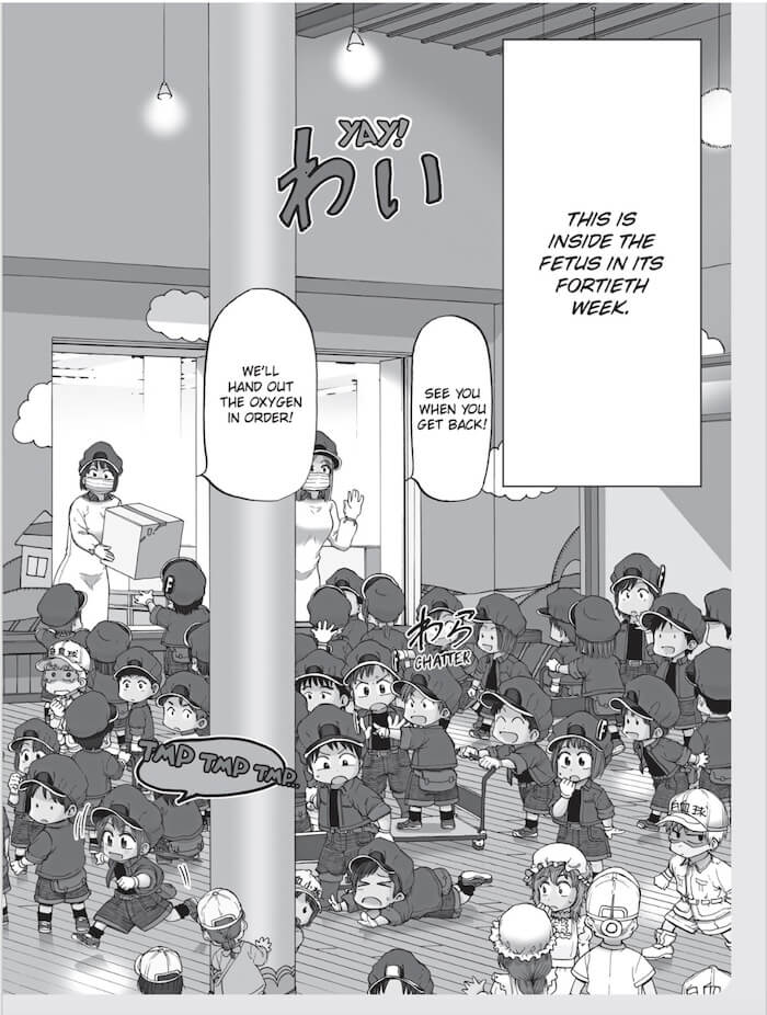 Cells at Work! Baby 1-Manga and East Asian style / tradition comic books-買書書 BuyBookBook