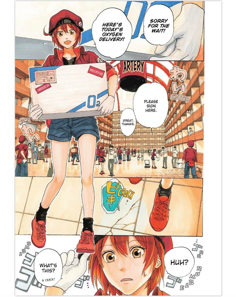 Cells at Work! Complete Manga Box Set!