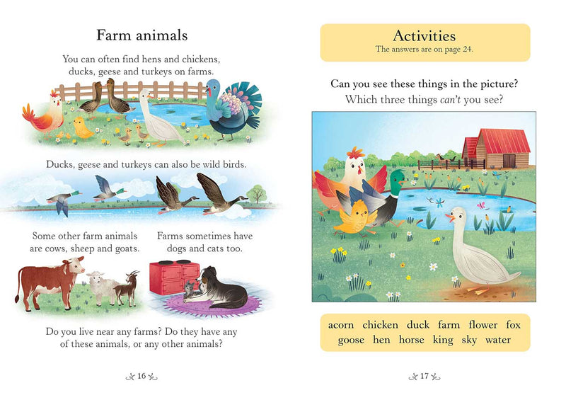 Usborne English Readers: Chicken Licken-Fiction: 兒童繪本 Picture Books-買書書 BuyBookBook
