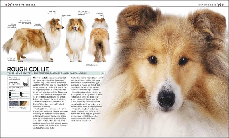 Complete Dog Breed Book, The DK UK