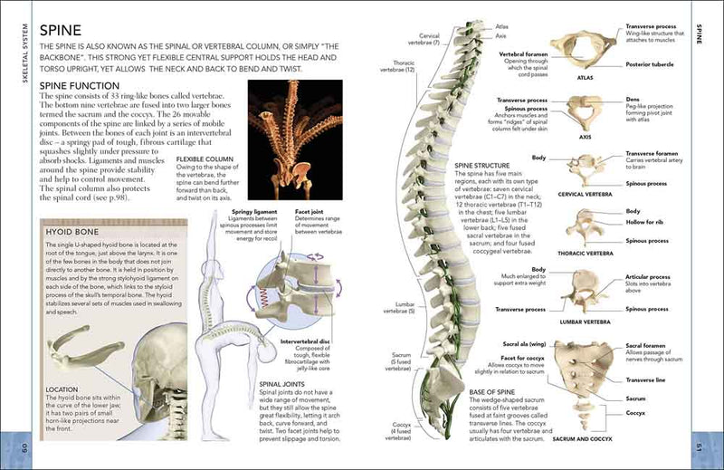 Concise Human Body Book, The - 買書書 BuyBookBook