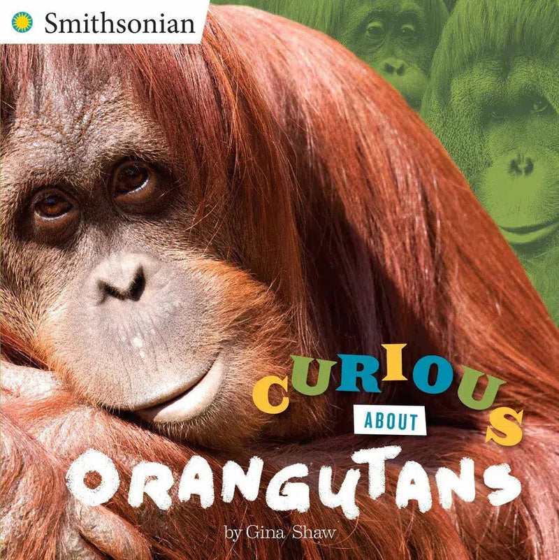 Curious About Orangutans-Children’s / Teenage general interest: Nature and animals-買書書 BuyBookBook