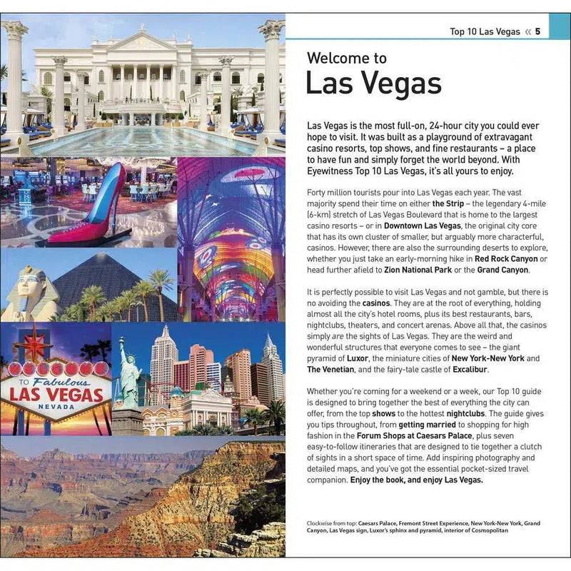 DK Eyewitness Travel - Top 10 Las Vegas (Paperback) DK UK