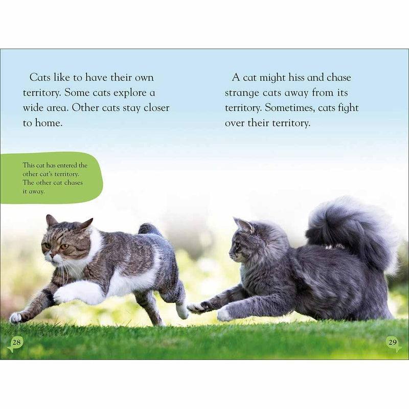 DK Reader Level 2: Cats and Kittens-Children’s / Teenage general interest: Nature and animals-買書書 BuyBookBook