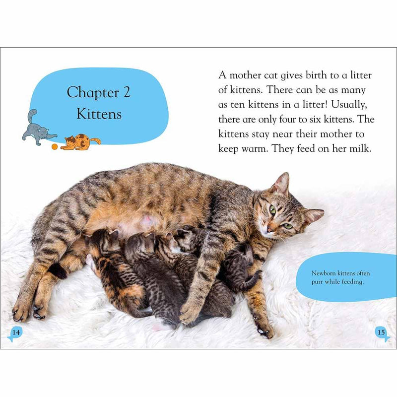 DK Reader Level 2: Cats and Kittens-Children’s / Teenage general interest: Nature and animals-買書書 BuyBookBook