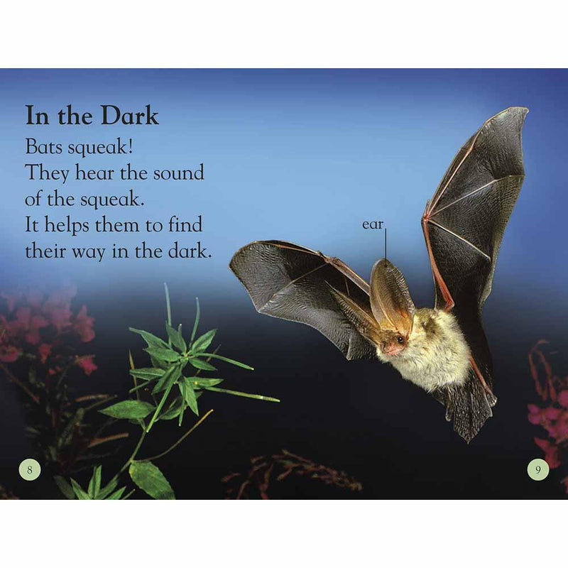 DK Readers - All About Bats: Explore the World of Bats! (Level 1) (Paperback) DK US