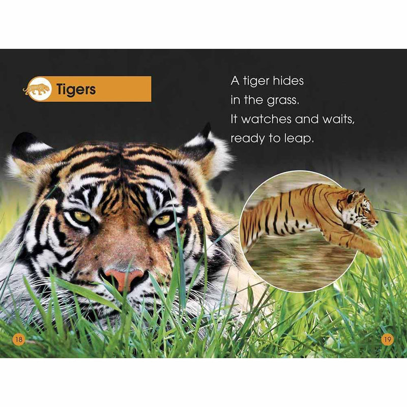 DK Readers - Jungle Animals (Level 1) (Paperback) DK US