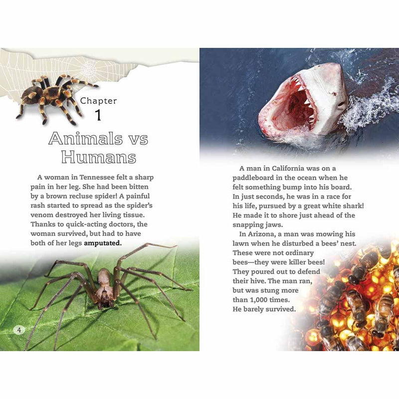 DK Readers - Spiders and Other Deadly Animals (Level 4) (Paperback) DK US