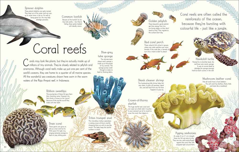 DK Children's Anthologies - An Anthology of Aquatic Life - 買書書 BuyBookBook