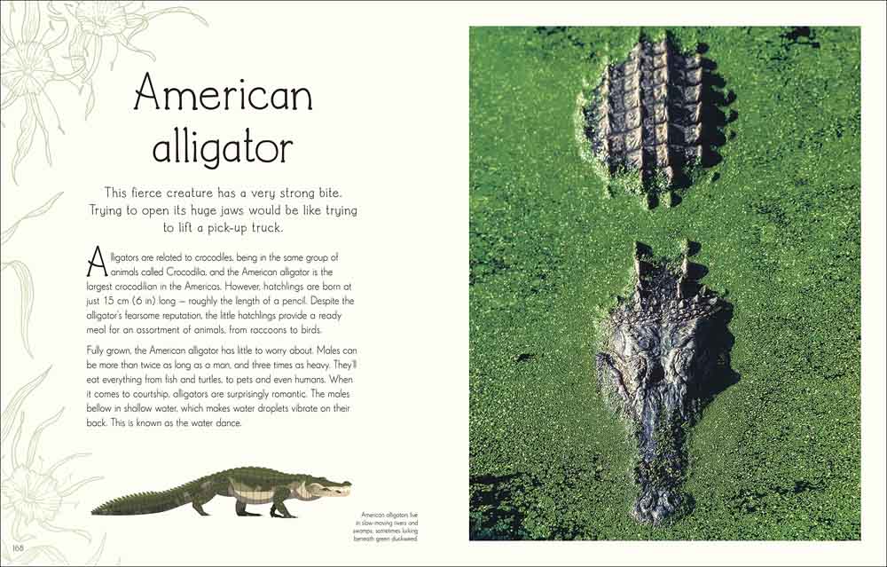 DK Children's Anthologies - An Anthology of Aquatic Life - 買書書 BuyBookBook