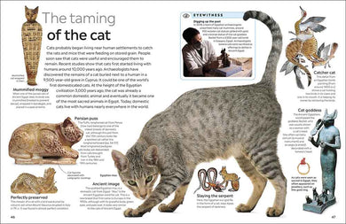 Cat-Children’s / Teenage general interest: Nature and animals-買書書 BuyBookBook