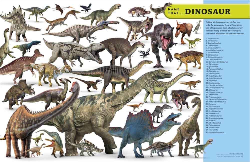 Eyewitness Encyclopedia of Everything-Children’s / Teenage reference material-買書書 BuyBookBook