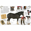 DK Eyewitness - Horse (Paperback) DK UK