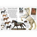 DK Eyewitness - Horse (Paperback) DK UK