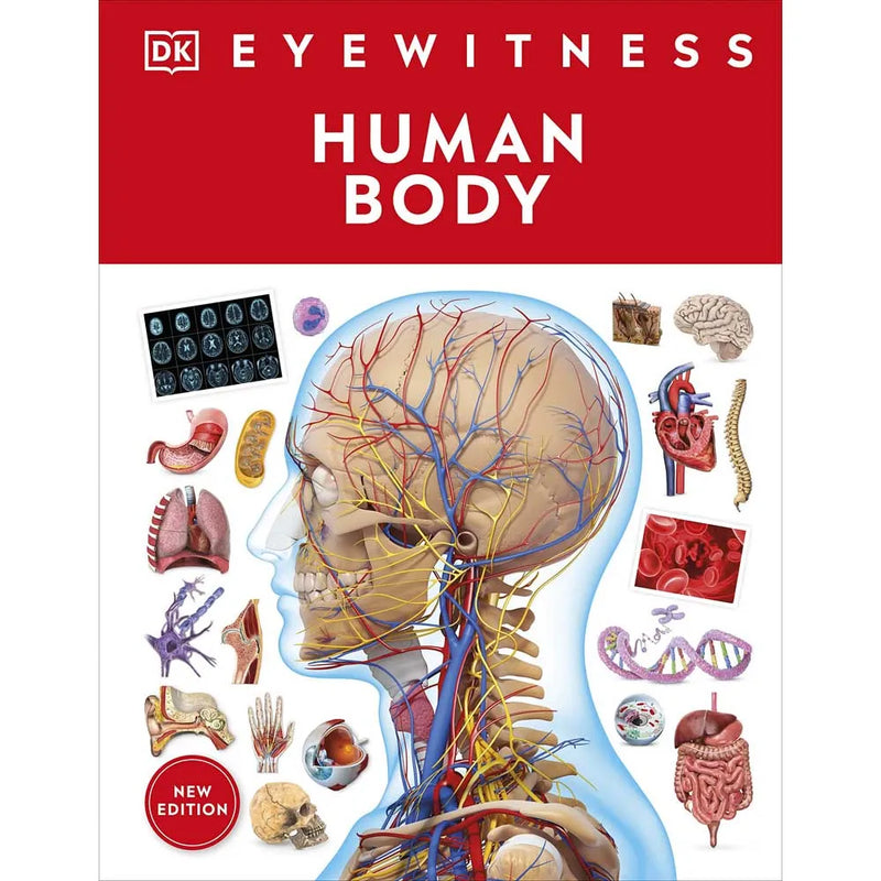 DK Eyewitness - Human Body (New Edition)-Nonfiction: 參考百科 Reference & Encyclopedia-買書書 BuyBookBook