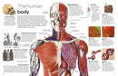 DK Eyewitness - Human Body (New Edition)-Nonfiction: 參考百科 Reference & Encyclopedia-買書書 BuyBookBook