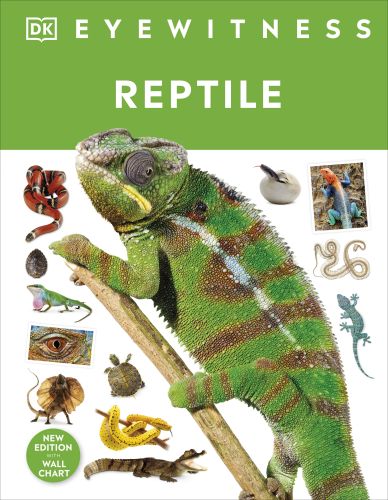 Reptile