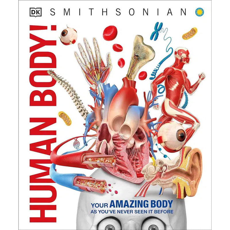 Knowledge Encyclopedia Human Body!-Children’s / Teenage reference: Encyclopaedias, general reference-買書書 BuyBookBook