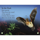 DK Readers - All About Bats: Explore the World of Bats! (Level 1) (Paperback) DK US