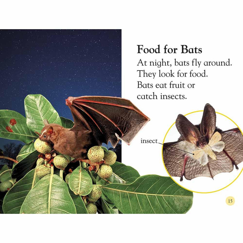 DK Readers - All About Bats: Explore the World of Bats! (Level 1) (Paperback) DK US