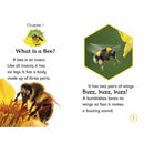 DK Readers - Amazing Bees (Level 2) (Paperback) DK US