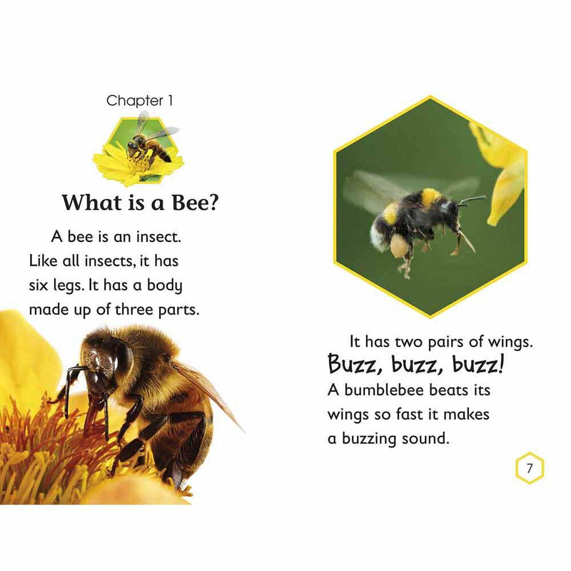 DK Readers - Amazing Bees (Level 2) (Paperback) DK US