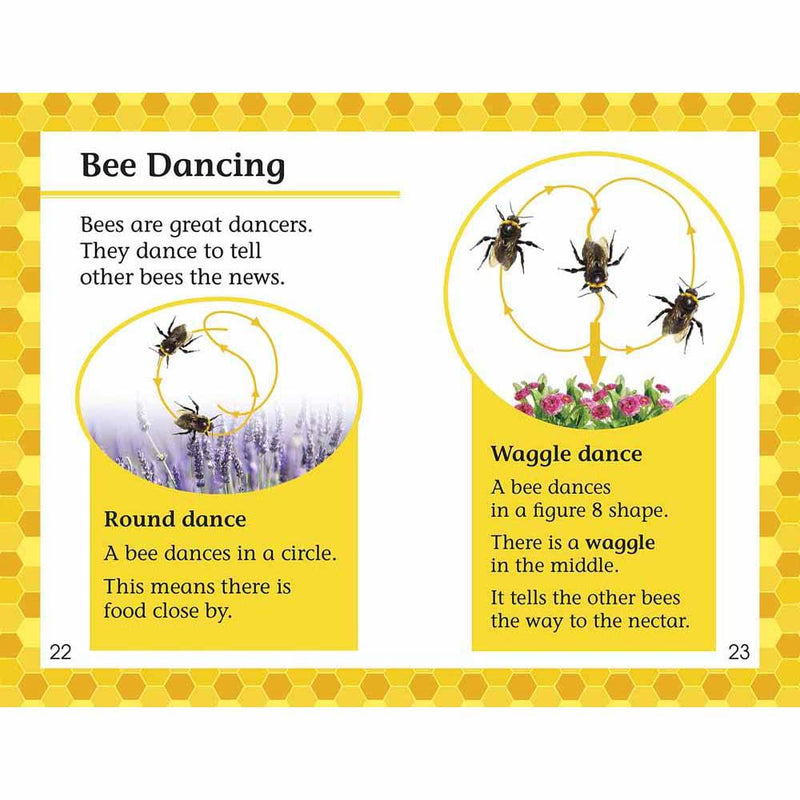 DK Readers - Amazing Bees (Level 2) (Paperback) DK US