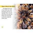 DK Readers - Amazing Bees (Level 2) (Paperback) DK US