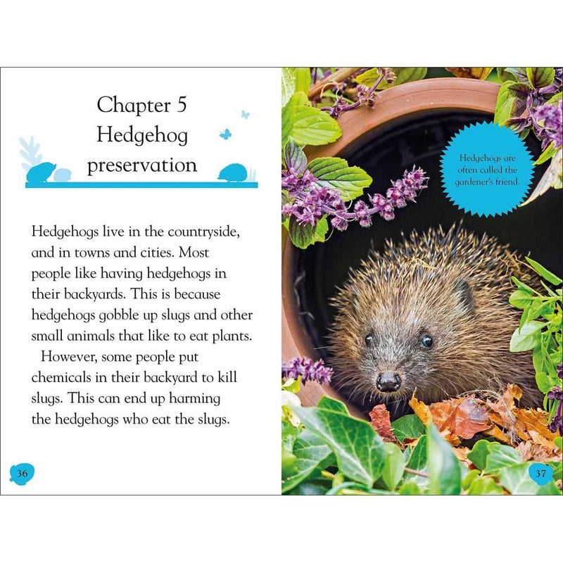 DK Readers - Hello Hedgehog (Level 2) (Paperback) DK US