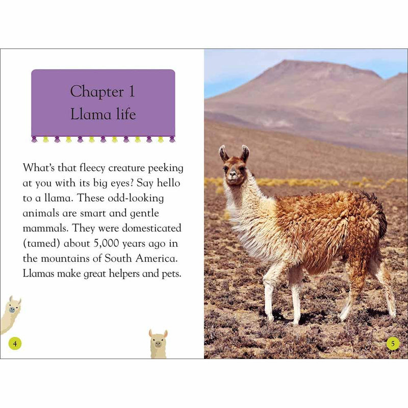 DK Readers - Llamas (Level 2) (Paperback) DK US