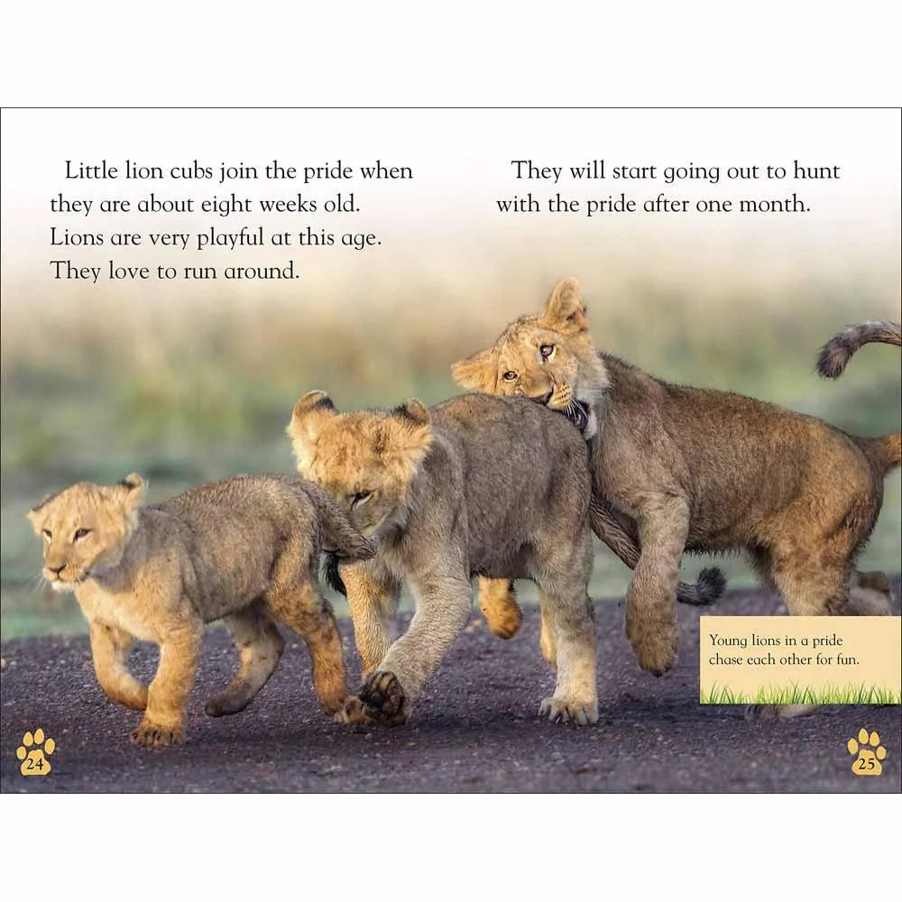 DK Readers - The Lion's Tale (Level 2) (Paperback) DK US