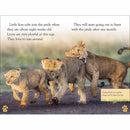 DK Readers - The Lion's Tale (Level 2) (Paperback) DK US