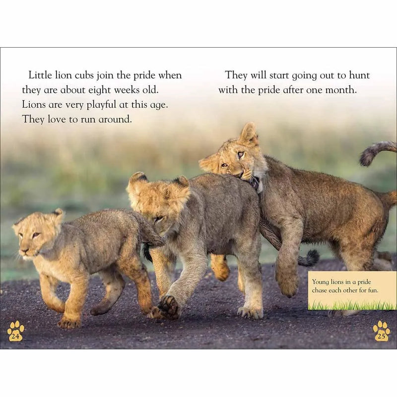 DK Readers - The Lion's Tale (Level 2) (Paperback) DK US