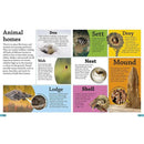 DKfindout! Animals (Paperback) DK UK