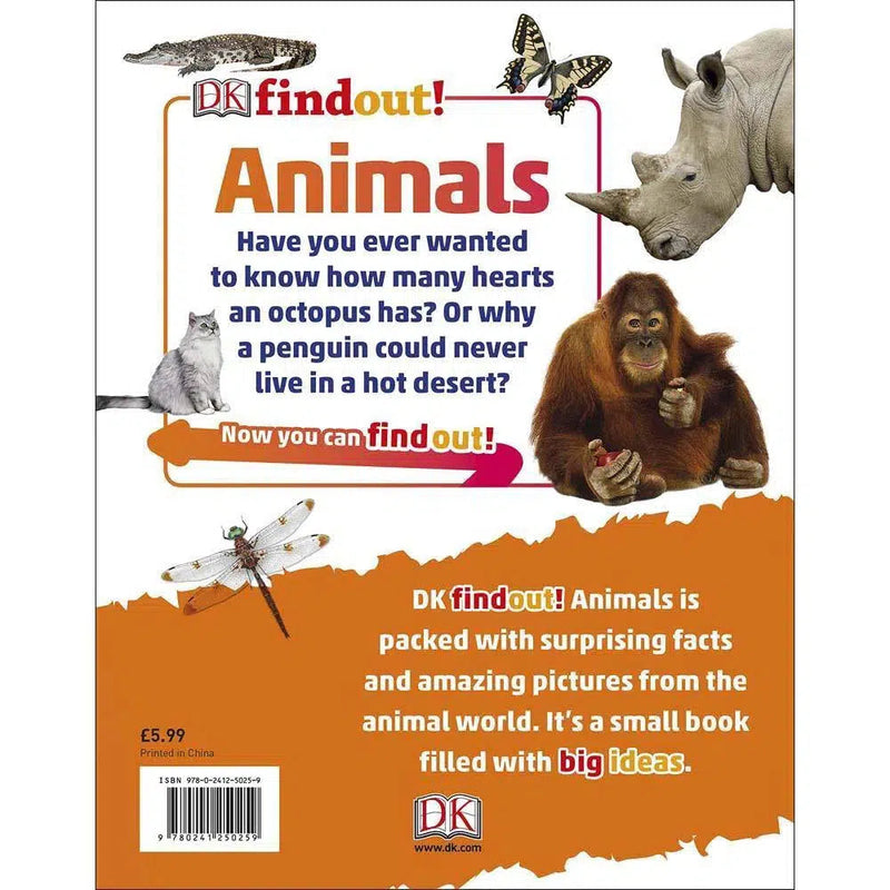 DKfindout! Animals (Paperback) DK UK