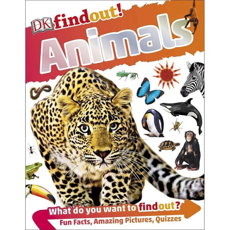 DKfindout! Animals (Paperback) DK UK