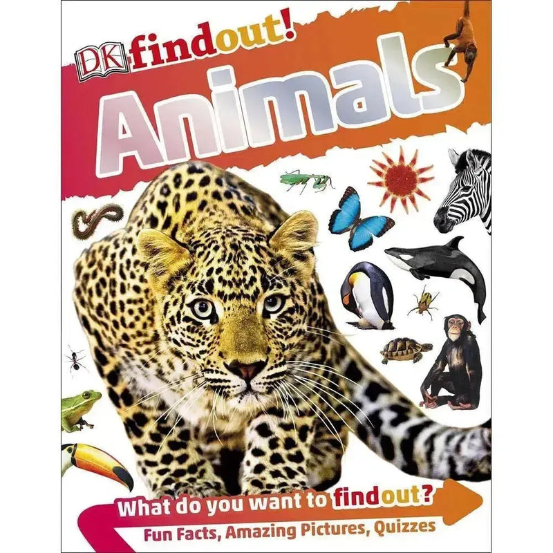 DKfindout! Animals (Paperback) DK UK
