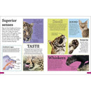 DKfindout! Big Cats (Paperback) DK UK