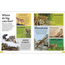 DKfindout! Big Cats (Paperback) DK UK
