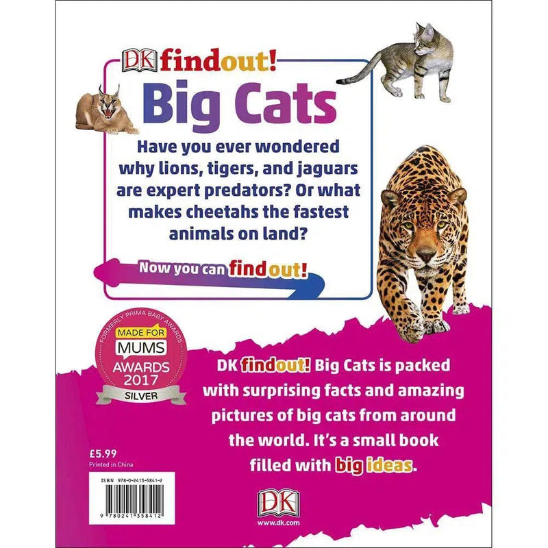 DKfindout! Big Cats (Paperback) DK UK